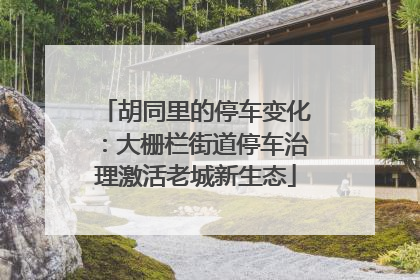 胡同里的停车变化：大栅栏街道停车治理激活老城新生态
