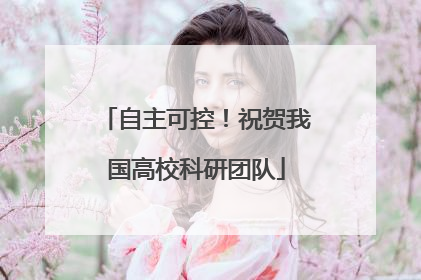 自主可控！祝贺我国高校科研团队