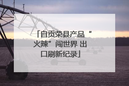 自贡荣县产品“火辣”闯世界 出口刷新纪录