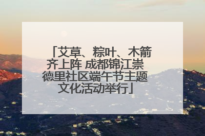 艾草、粽叶、木箭齐上阵 成都锦江崇德里社区端午节主题文化活动举行