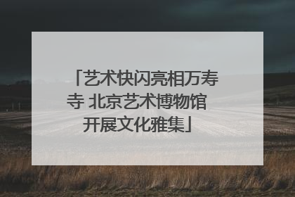 艺术快闪亮相万寿寺 北京艺术博物馆开展文化雅集