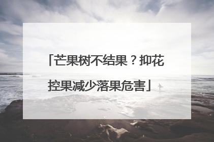芒果树不结果？抑花控果减少落果危害