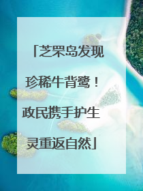 芝罘岛发现珍稀牛背鹭！政民携手护生灵重返自然