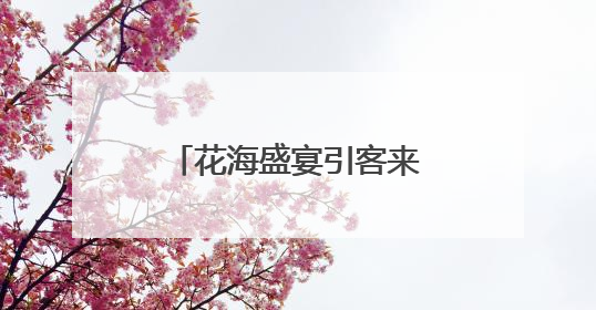 花海盛宴引客来 宁波宁海“赏花经济”别样红