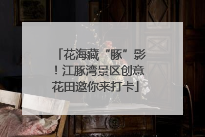 花海藏“豚”影！江豚湾景区创意花田邀你来打卡