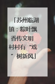 苏州临湖镇：粽叶飘香传文明 村村有“戏”树新风