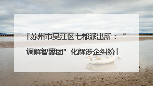 苏州市吴江区七都派出所：“调解智囊团”化解涉企纠纷