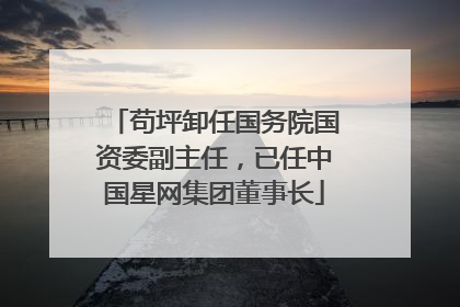 苟坪卸任国务院国资委副主任，已任中国星网集团董事长