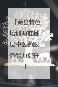 萧县特色培训助推基层中医药服务能力提升