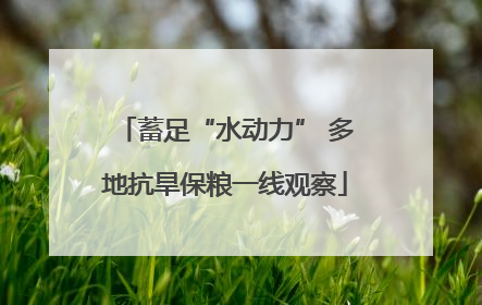 蓄足“水动力” 多地抗旱保粮一线观察