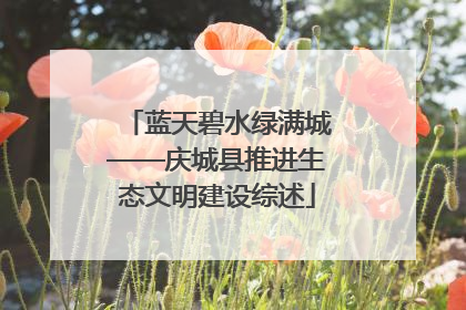 蓝天碧水绿满城——庆城县推进生态文明建设综述