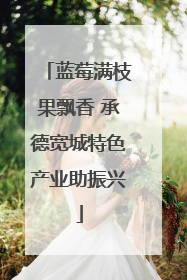 蓝莓满枝果飘香 承德宽城特色产业助振兴