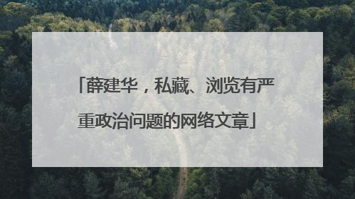 薛建华，私藏、浏览有严重政治问题的网络文章