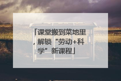 课堂搬到菜地里，解锁“劳动+科学”新课程