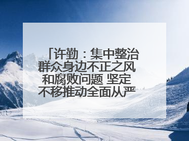 许勤：集中整治群众身边不正之风和腐败问题 坚定不移推动全面从严治党向基层延伸