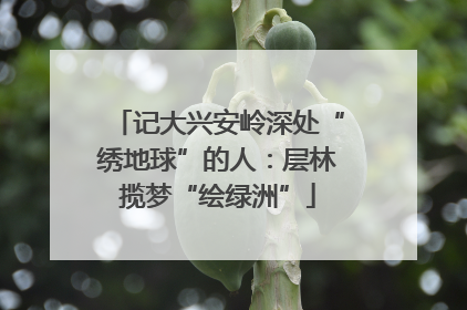 记大兴安岭深处“绣地球”的人：层林揽梦“绘绿洲”