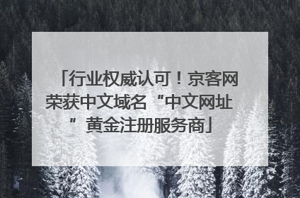 行业权威认可！京客网荣获中文域名“中文网址”黄金注册服务商