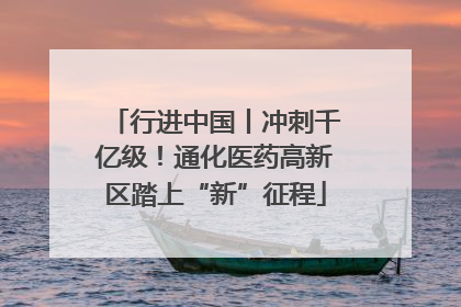 行进中国丨冲刺千亿级！通化医药高新区踏上“新”征程