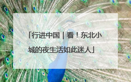 行进中国｜看！东北小城的夜生活如此迷人