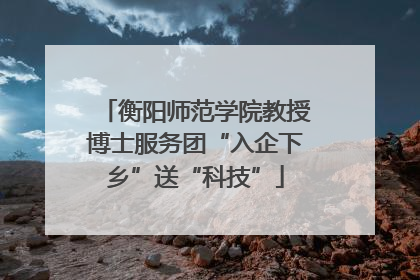 衡阳师范学院教授博士服务团“入企下乡”送“科技”