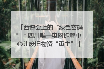 西博会上的“绿色密码”：四川唯一电网拆解中心让废旧物资“重生”｜西博寻“新”记