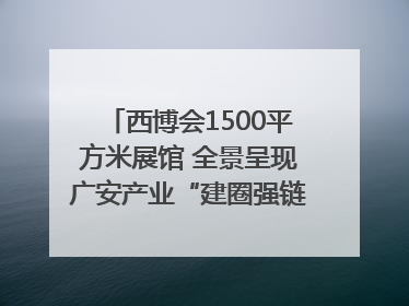 西博会1500平方米展馆 全景呈现广安产业“建圈强链”｜西博视界
