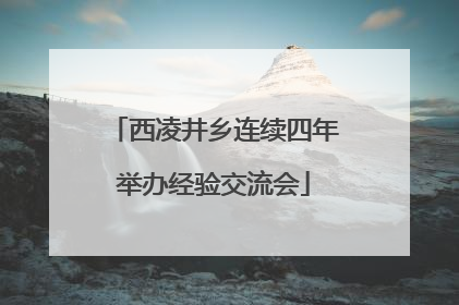 西凌井乡连续四年举办经验交流会