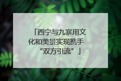 西宁与九寨用文化和美景实现携手“双方引流”