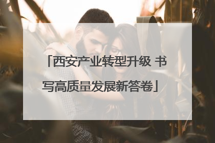 西安产业转型升级 书写高质量发展新答卷