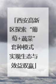 西安高新区探索“葡萄+蔬菜”套种模式 实现生态与效益双赢