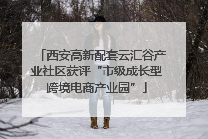 西安高新配套云汇谷产业社区获评“市级成长型跨境电商产业园”