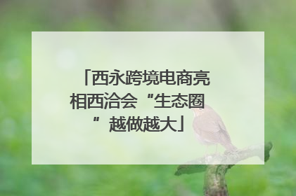 西永跨境电商亮相西洽会“生态圈”越做越大