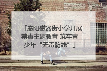 襄阳磁器街小学开展禁毒主题教育 筑牢青少年“无毒防线”