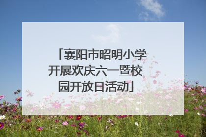 襄阳市昭明小学开展欢庆六一暨校园开放日活动