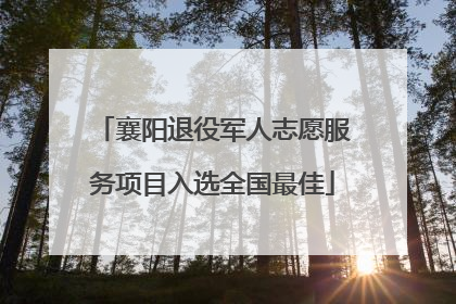 襄阳退役军人志愿服务项目入选全国最佳