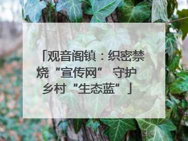 观音阁镇：织密禁烧“宣传网” 守护乡村“生态蓝”