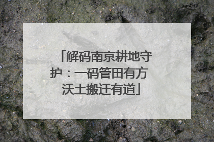 解码南京耕地守护：一码管田有方 沃土搬迁有道