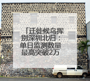 迁徙候鸟挥别深圳北归：单日监测数量最高突破2万只