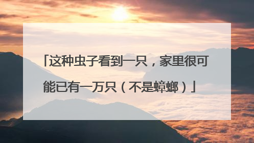 这种虫子看到一只，家里很可能已有一万只（不是蟑螂）