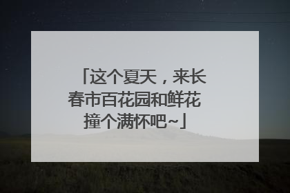 这个夏天，来长春市百花园和鲜花撞个满怀吧~