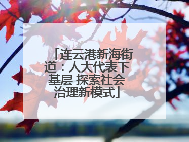 连云港新海街道：人大代表下基层 探索社会治理新模式