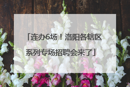 连办6场！洛阳各辖区系列专场招聘会来了