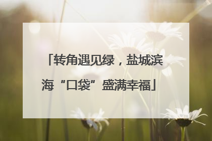 转角遇见绿，盐城滨海“口袋”盛满幸福
