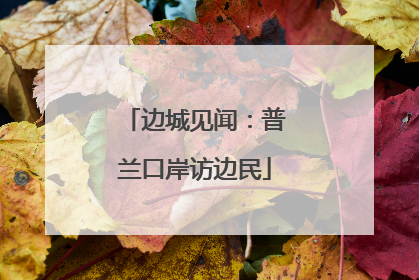边城见闻：普兰口岸访边民