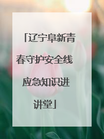 辽宁阜新青春守护安全线 应急知识进讲堂