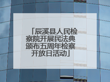 辰溪县人民检察院开展民法典颁布五周年检察开放日活动
