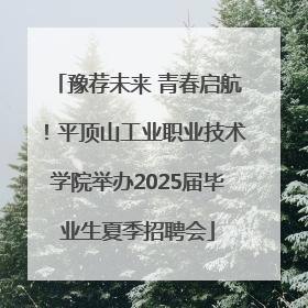 豫荐未来 青春启航！平顶山工业职业技术学院举办2025届毕业生夏季招聘会