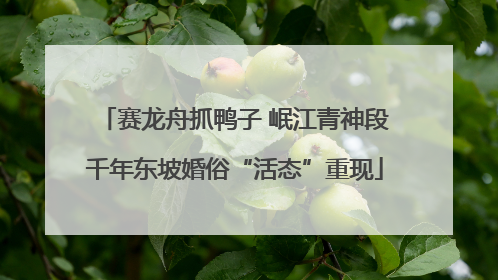 赛龙舟抓鸭子 岷江青神段千年东坡婚俗“活态”重现