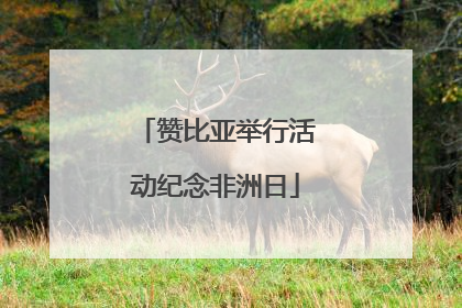 赞比亚举行活动纪念非洲日