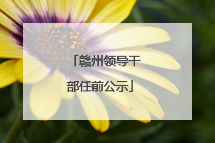 赣州领导干部任前公示